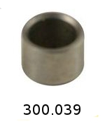 300039