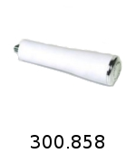 300858