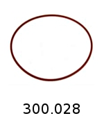 300028