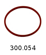 300054