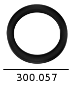 300057 2