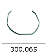 300065