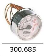 300685
