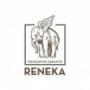 Reneka 1
